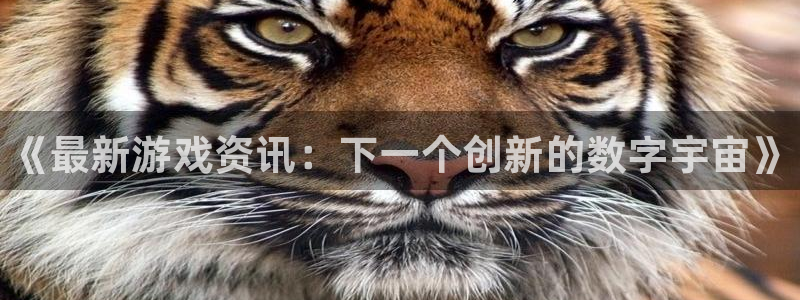 赢咖娱乐2首页登录：《最新游戏资讯：下一个创新的数字宇宙》