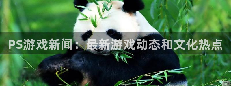 赢咖娱乐登陆测速：PS游戏新闻：最新游戏动态和文化热点