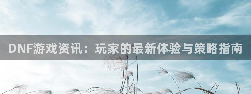 沐春赢咖娱乐：DNF游戏资讯：玩家的最新体验与策略指南