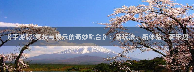 赢咖娱乐注册网站：《手游版:竞技与娱乐的奇妙融合》：新玩法、