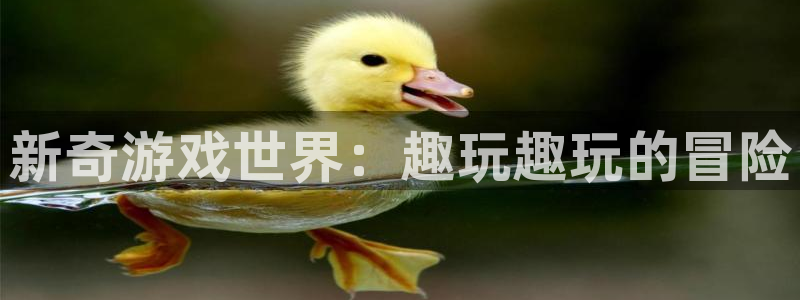 赢咖娱乐4招商：新奇游戏世界：趣玩趣玩的冒险