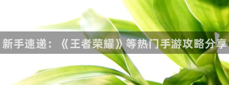 赢咖娱乐注册登录平台：新手速递：《王者荣耀》等热门手游攻略分