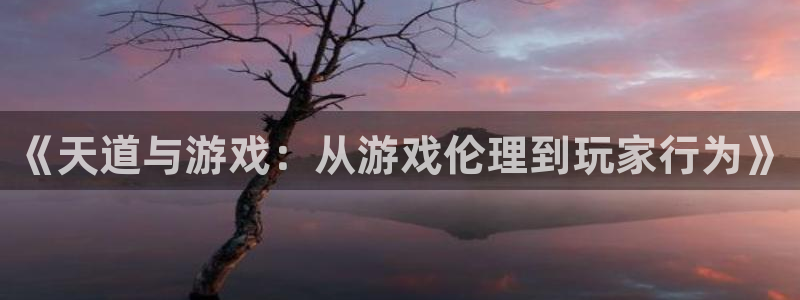 赢咖娱乐平台注册开户：《天道与游戏：从游戏伦理到玩家行为》