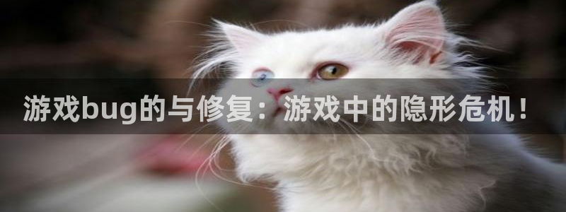 赢咖娱乐网页登录入口：游戏bug的与修复：游戏中的隐形危机！