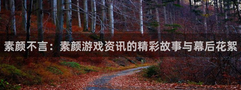 赢咖娱乐网址官网：素颜不言：素颜游戏资讯的精彩故事与幕后花絮