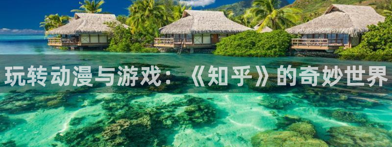 赢咖娱乐4开户：玩转动漫与游戏：《知乎》的奇妙世界