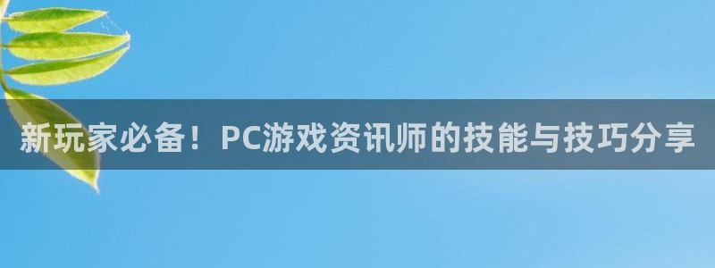 赢咖娱乐登陆：新玩家必备！PC游戏资讯师的技能与技巧分享