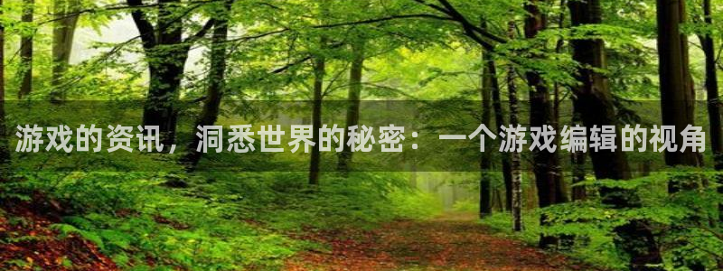 赢咖娱乐网址注册：游戏的资讯，洞悉世界的秘密：一个游戏编辑的