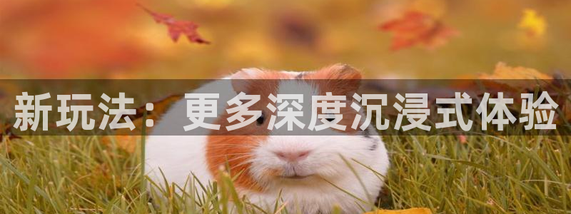 赢咖娱乐游戏：新玩法：更多深度沉浸式体验