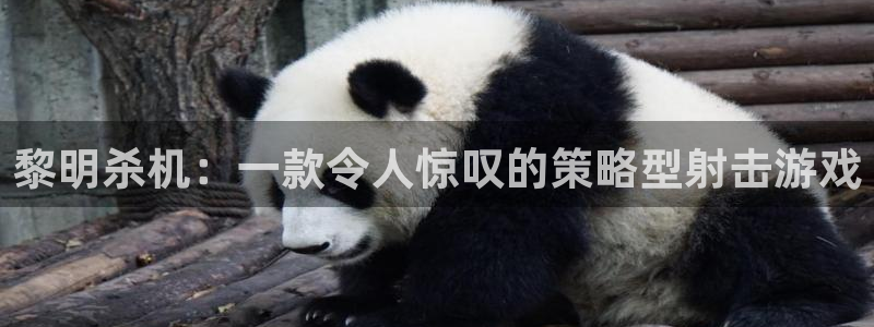 赢咖娱乐登陆：黎明杀机：一款令人惊叹的策略型射击游戏