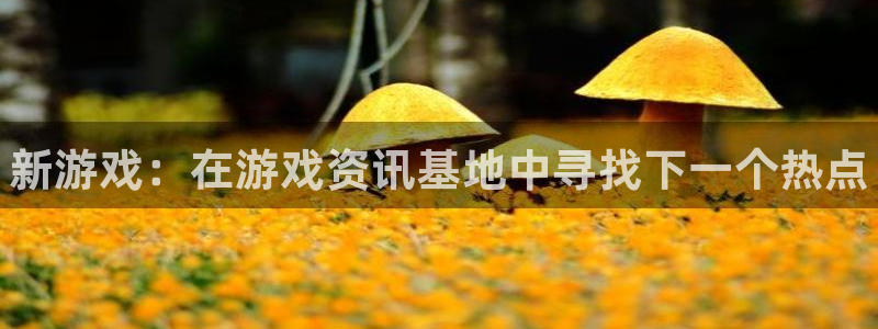 赢咖娱乐官方平台：新游戏：在游戏资讯基地中寻找下一个热点