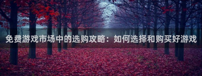 赢咖娱乐游戏：免费游戏市场中的选购攻略：如何选择和购买好游戏